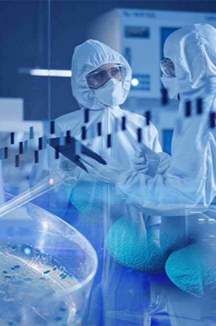 Plasmid DNA Manufacturing Services